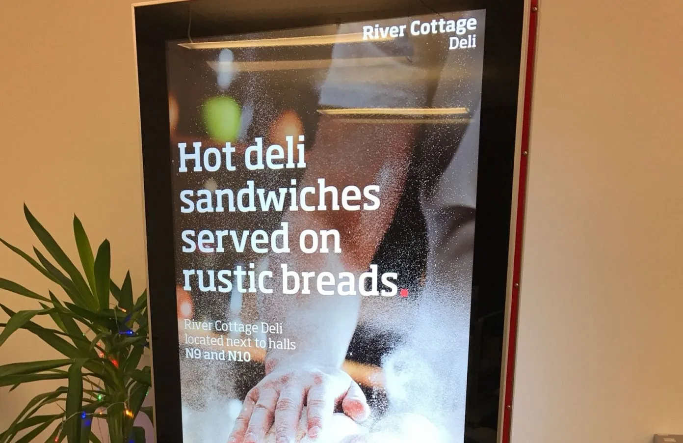 Expertise image main